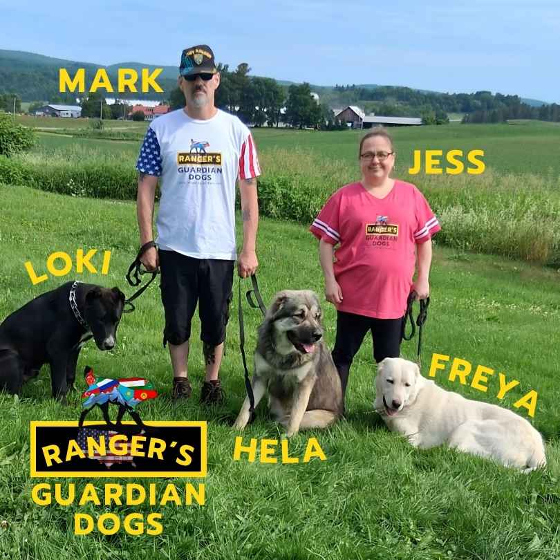 My digital marketing client, Mark, at Ranger's Guardian Dogs and RangersGuardians.com